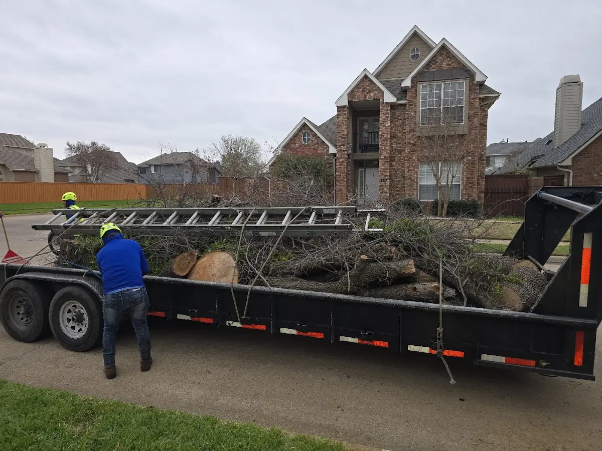 Expert Lot Clearing with proper safety equipment in Cross Plains